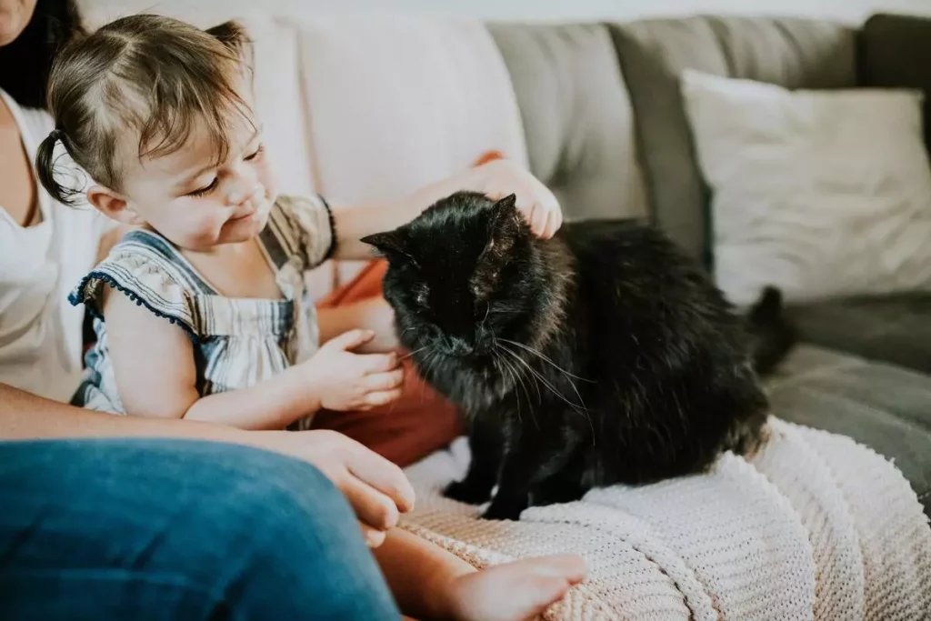 cat playing with child