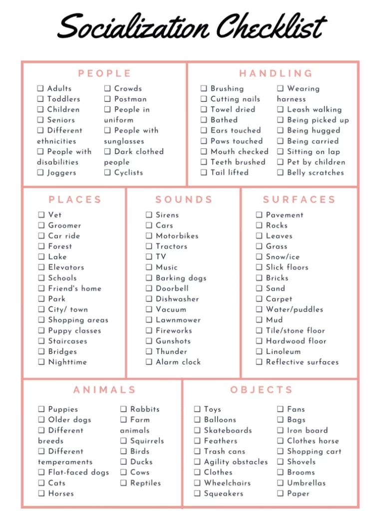 Kitten Socialization: How To Socialize Your Kitten? 29 kitten-socialization-checklist